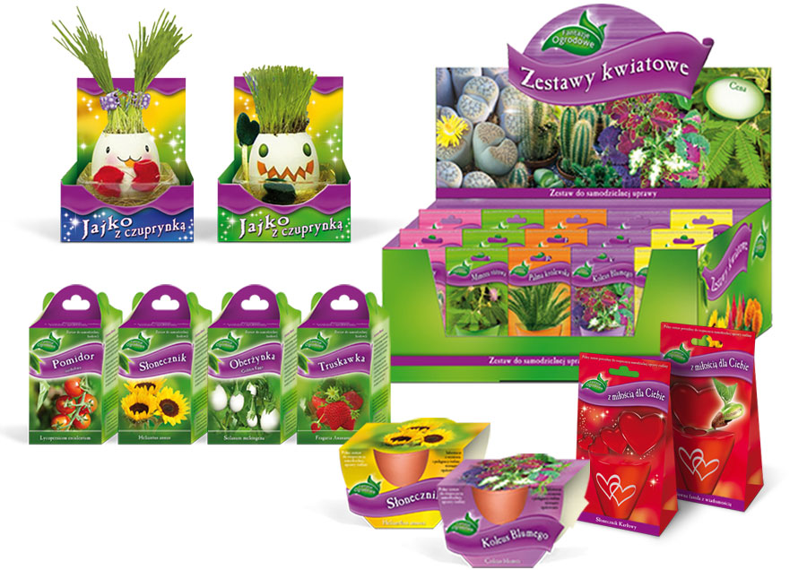 flowerpoint kwiaty cudowna fasolka